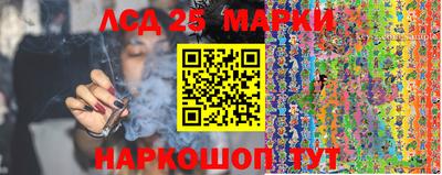 mdpv Кингисепп