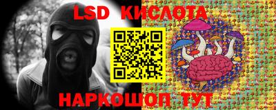 крисы Кимры