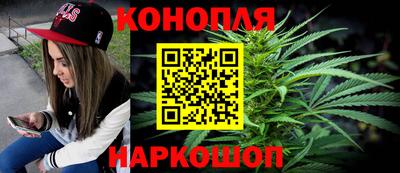 крисы Кимры
