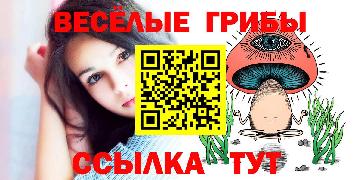 Галлюциногенные грибы ЛСД Кунгур